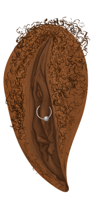 vulva